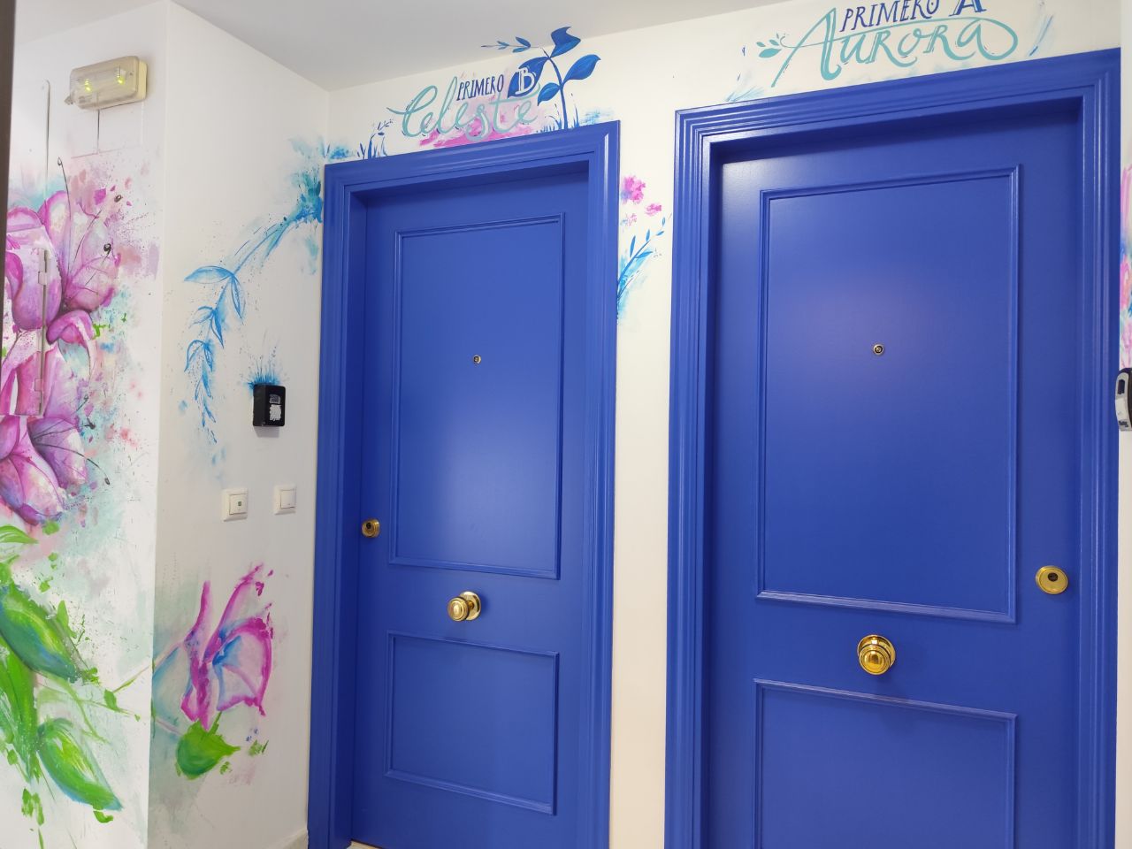 Reforma integral de puerta de entrada por Ladrillo Azul